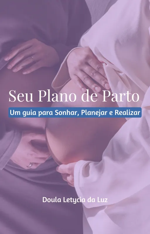 Seu Plano de Parto: Um guia para Sonhar, Planejar e Realizar