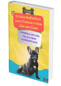 O guia definitivo para treinar seu cão em casa