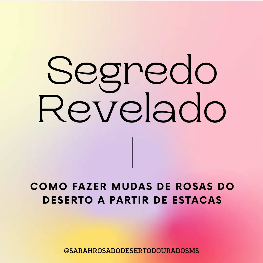 COMO FAZER MUDAS DE ROSAS DO DESERTO A PARTIR DE ESTACAS