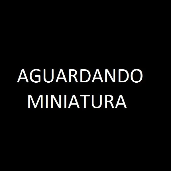 MENTORIA DIREITO PREVIDENCIÁRIO - BIAZZOTO