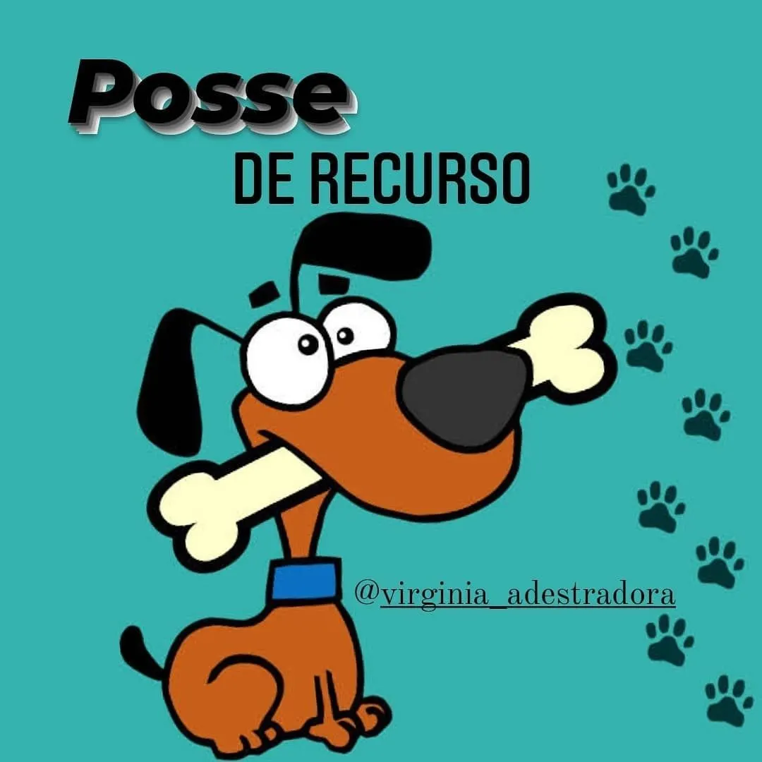 Posse de Recurso