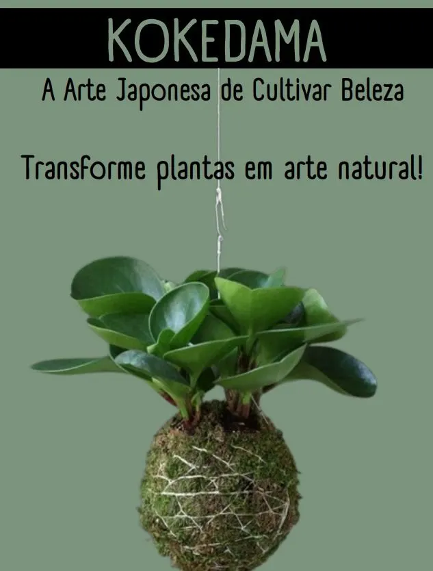 KOKEDAMA A Arte Japonesa de Cultivar Beleza