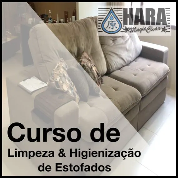 Curso de Limpeza & Higienização de Estofados