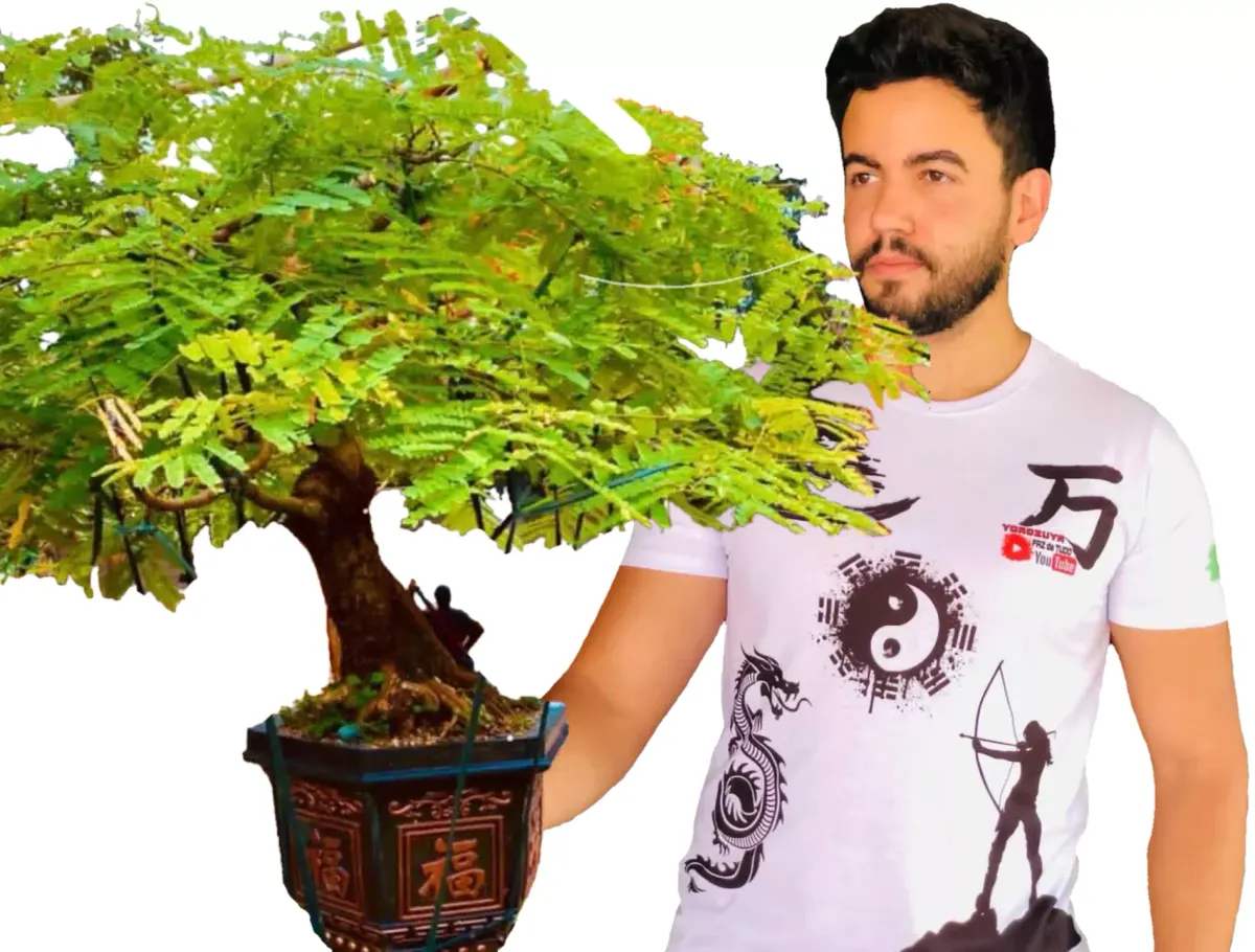 🍁Curso de BONSAI de Flamboyant Completo com Acesso VITALÍCIO + ATUALIZAÇÕES ANUAIS! 🍁