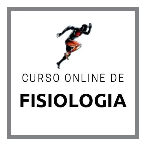 Curso Online de Fisiologia