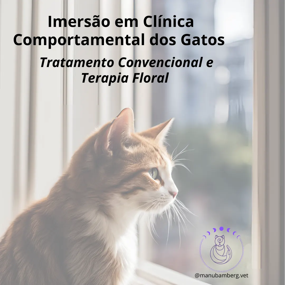 Imersão em Clinica Comportamental de Gatos -Tratamento Convencional e Terapia Floral