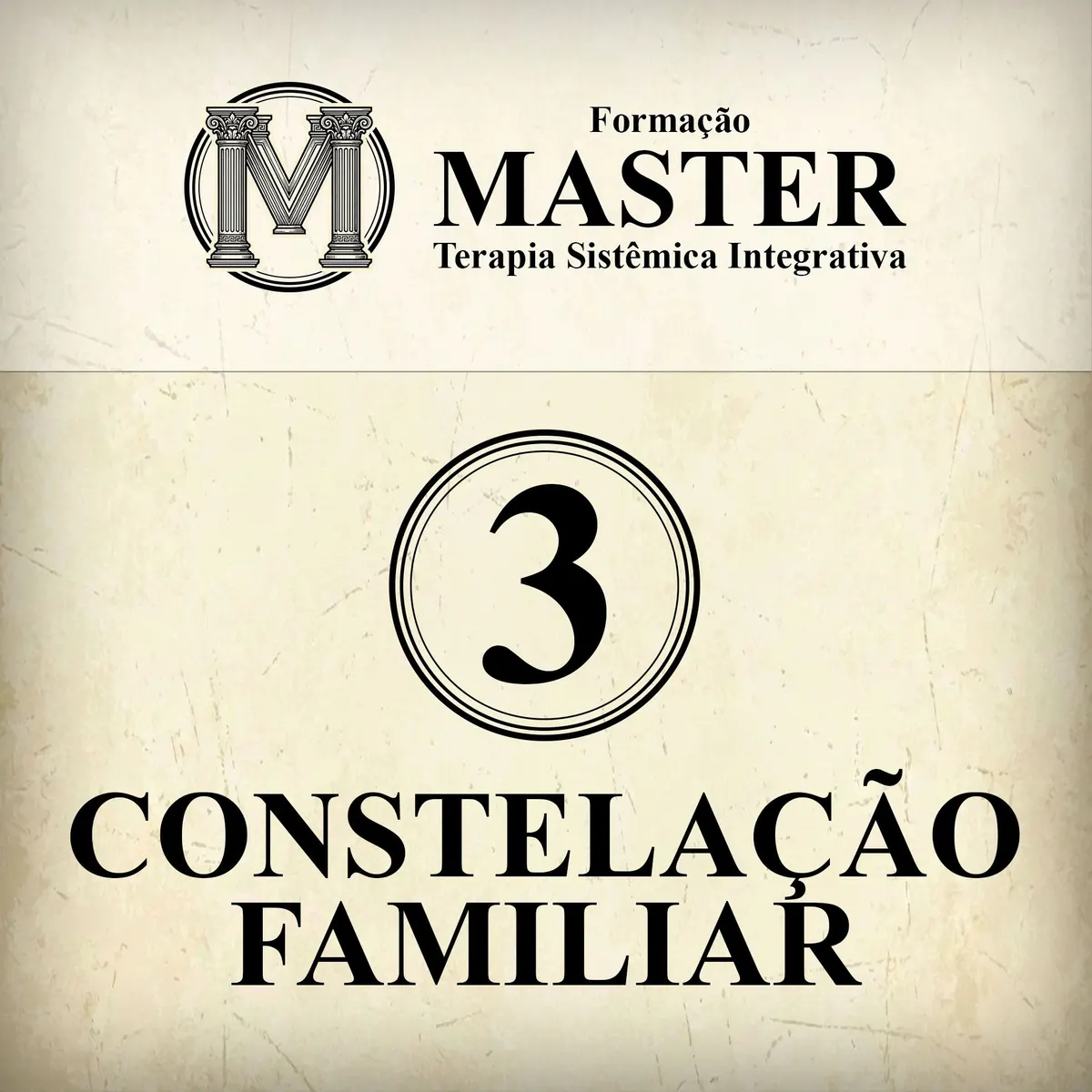 Formação Master Módulo 3 - Constelação Familiar