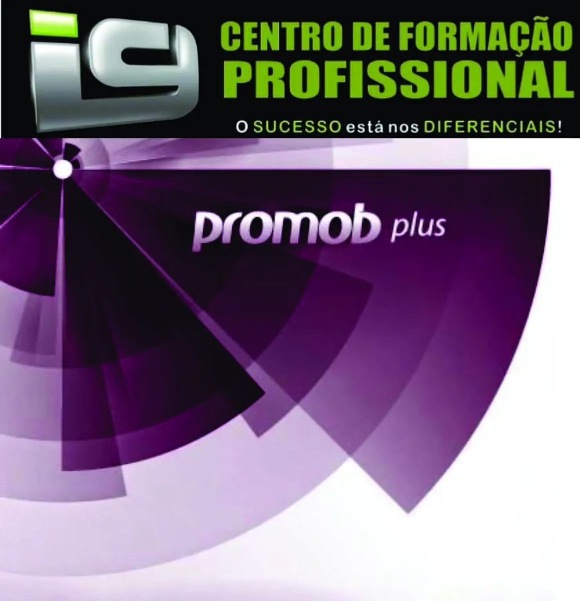 CURSO PROMOB PLUS