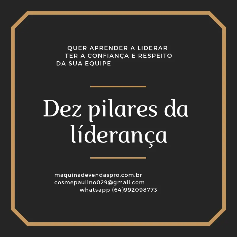 DEZ PILARES DA LIDERANÇA