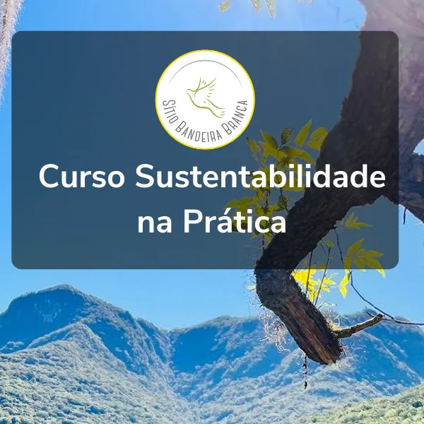 Curso Sustentabilidade na Prática