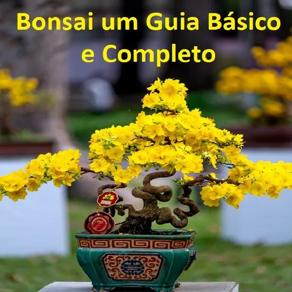 Bonsai um guia básico e completo: cultivo de árvores de bonsai, fiação, poda, doenças e técnicas de cuidado