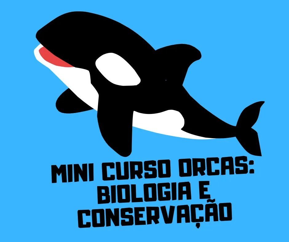 MINI CURSO ORCAS: BIOLOGIA E CONSERVAÇÃO