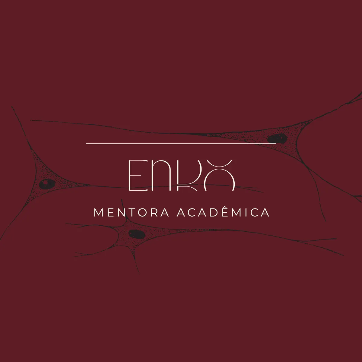 Estude Menos, Aprenda Mais