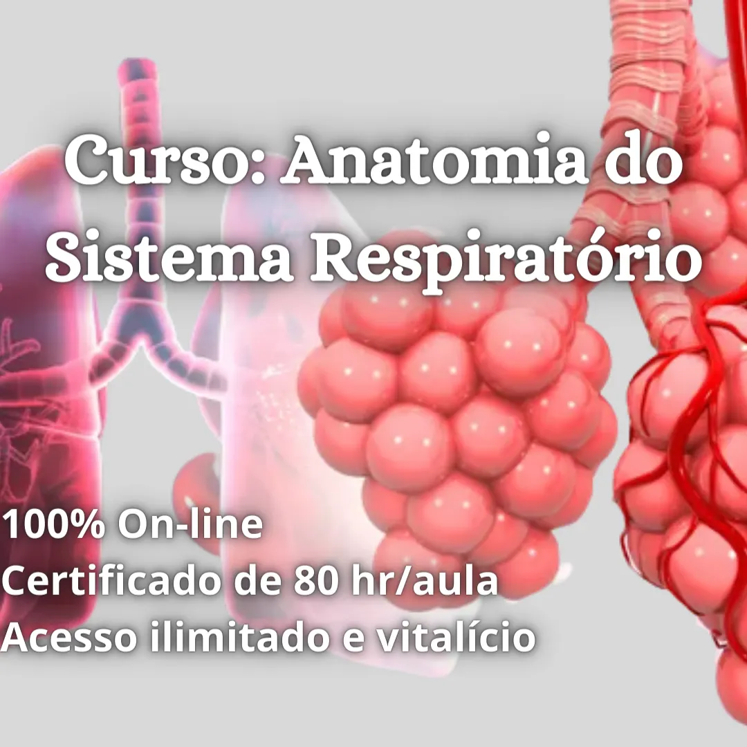 Anatomia do Sistema Respiratório
