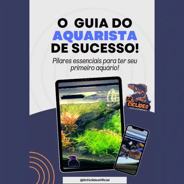 O Guia do Aquarista de Sucesso: Pilares Básicos