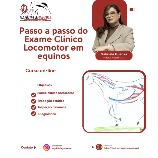 Passo a passo do Exame Clínico Locomotor em equinos (cavalos) - Master Class VET - Medica Veterinária Dra. Gabriela Guenka