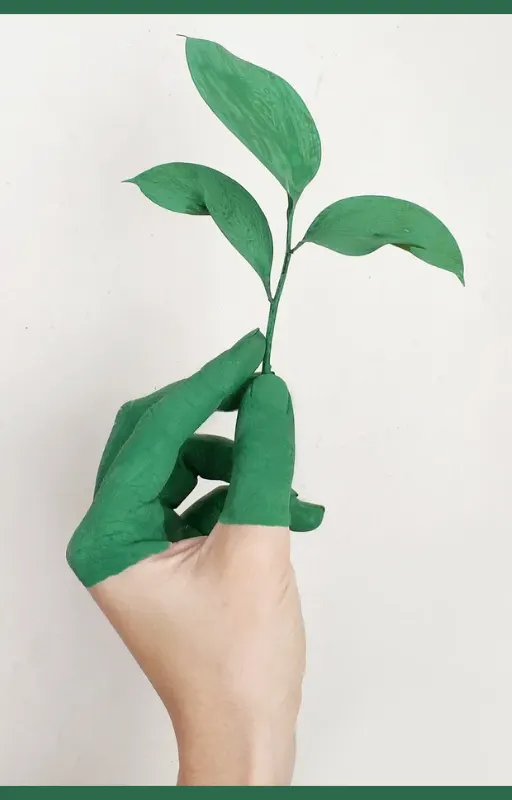 “Horta Fácil: Como Plantar Hortaliças em Casa ou em APPVocê sempre quis ter uma horta, mas não sabia por onde começar? Este eBook foi feito especialmente para você! “Horta Fácil: Cultivo de Hortaliças