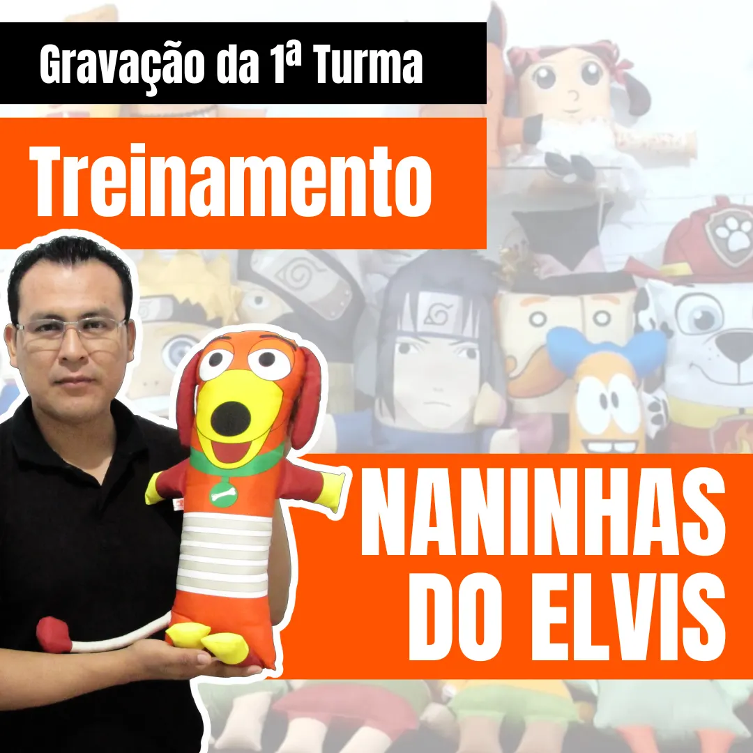 Treinamento Naninhas do Elvis - Gravação das Aulas da 1ª Turma