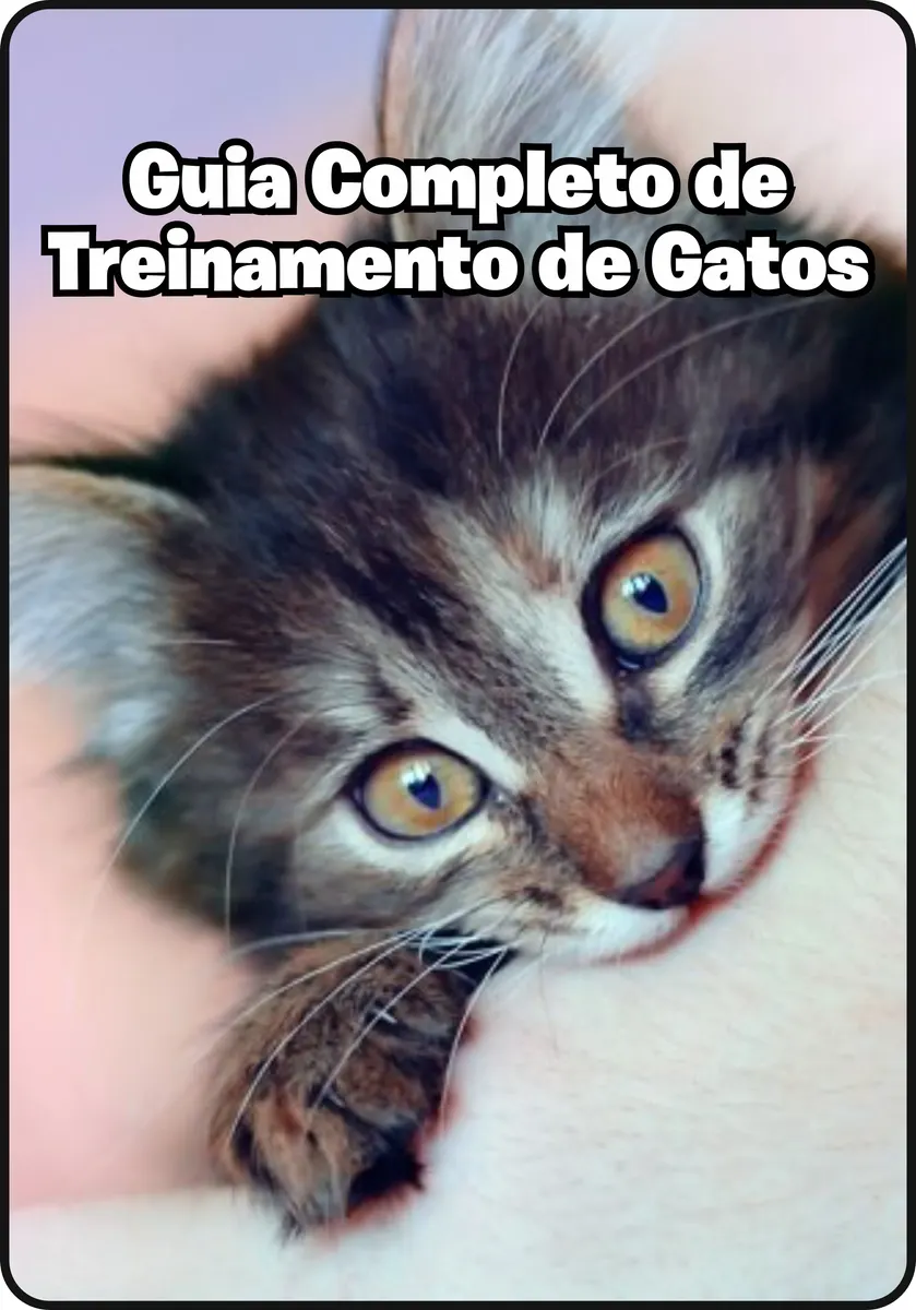 Guia Completo de Treinamento de Gatos