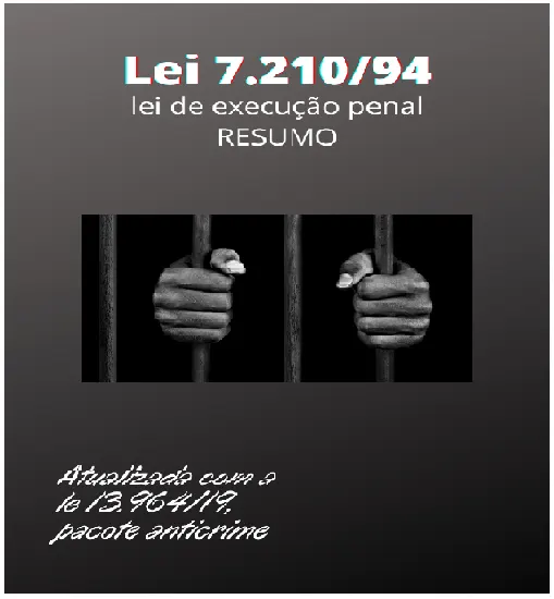 LEI DE EXECUÇÃO PENAL PARA CONCURSOS PÚBLICOS - resumo completo (atualizado pelo PAC)