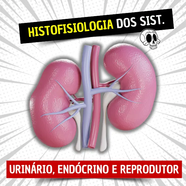 Histofisiologia dos Sistemas Urinário, Endócrino e Reprodutor