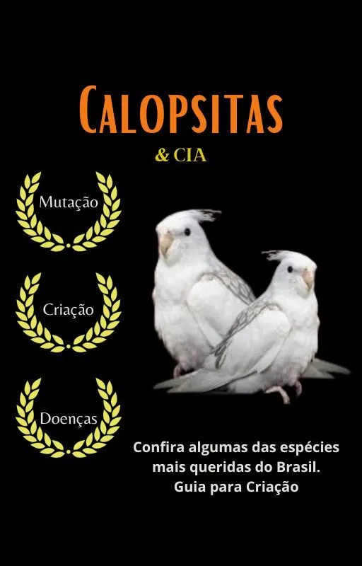 Como Inicializar uma Criação de Aves