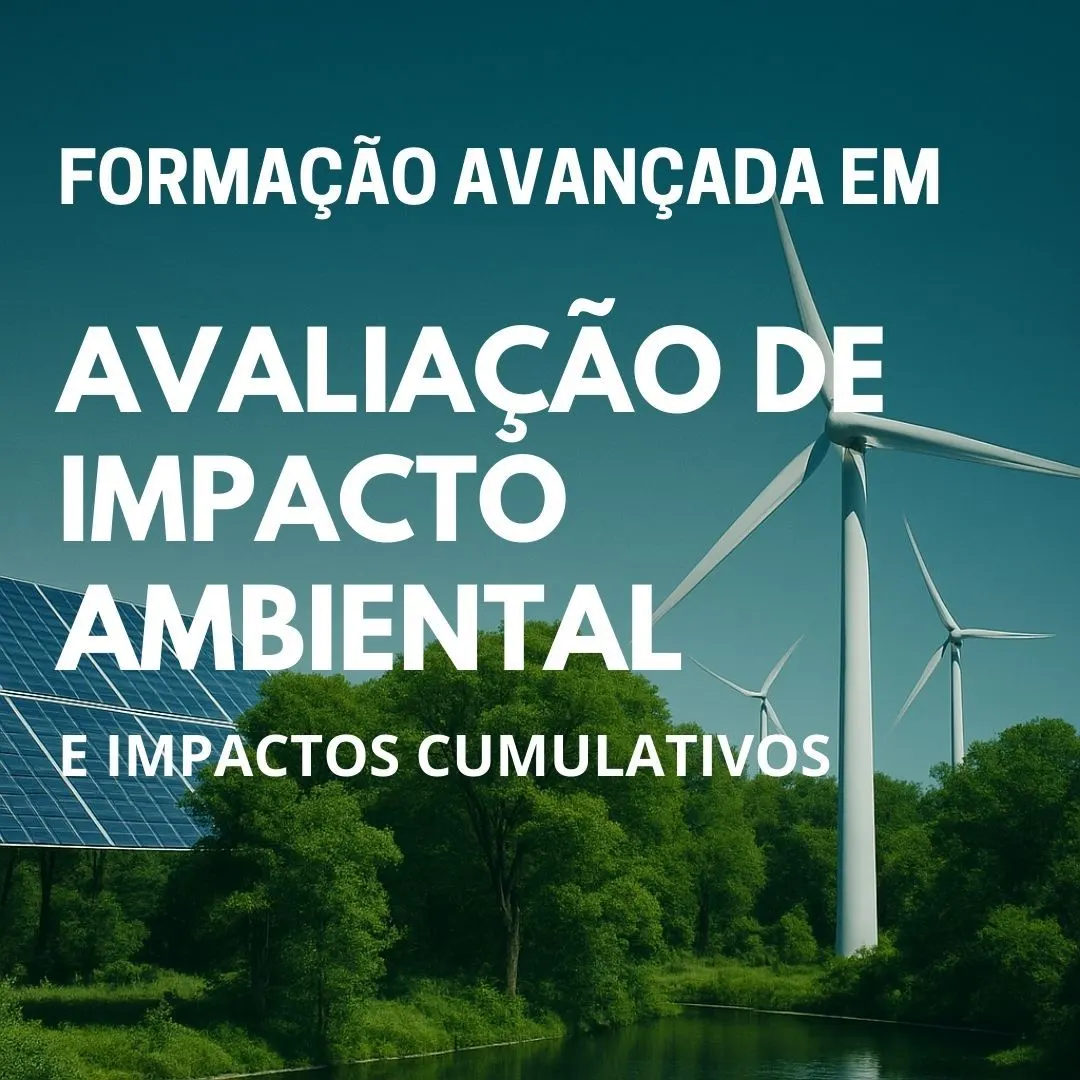 Formação Avançada em Avaliação de Impacto Ambiental e Impactos Cumulativos