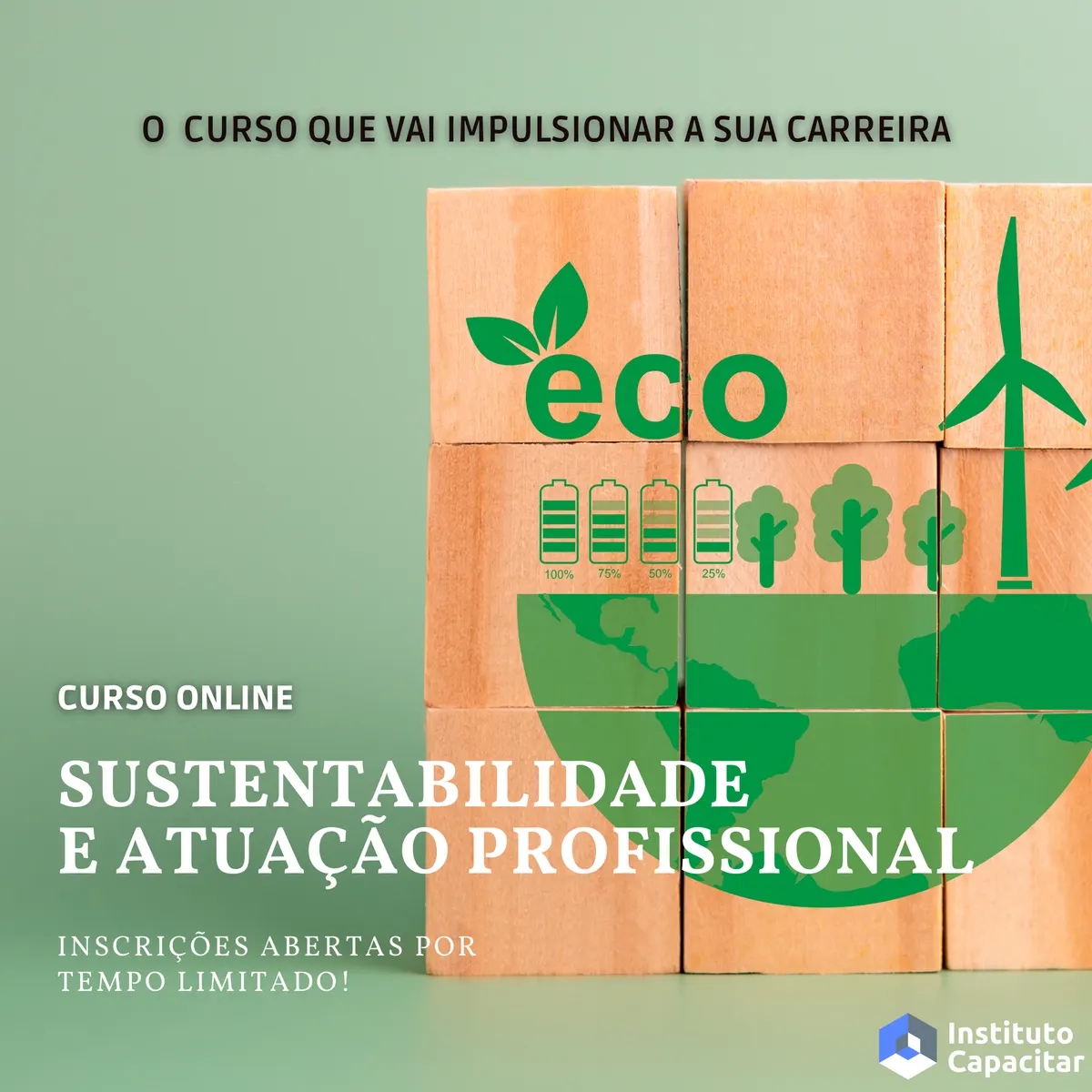 Sustentabilidade e Atuação Profissional