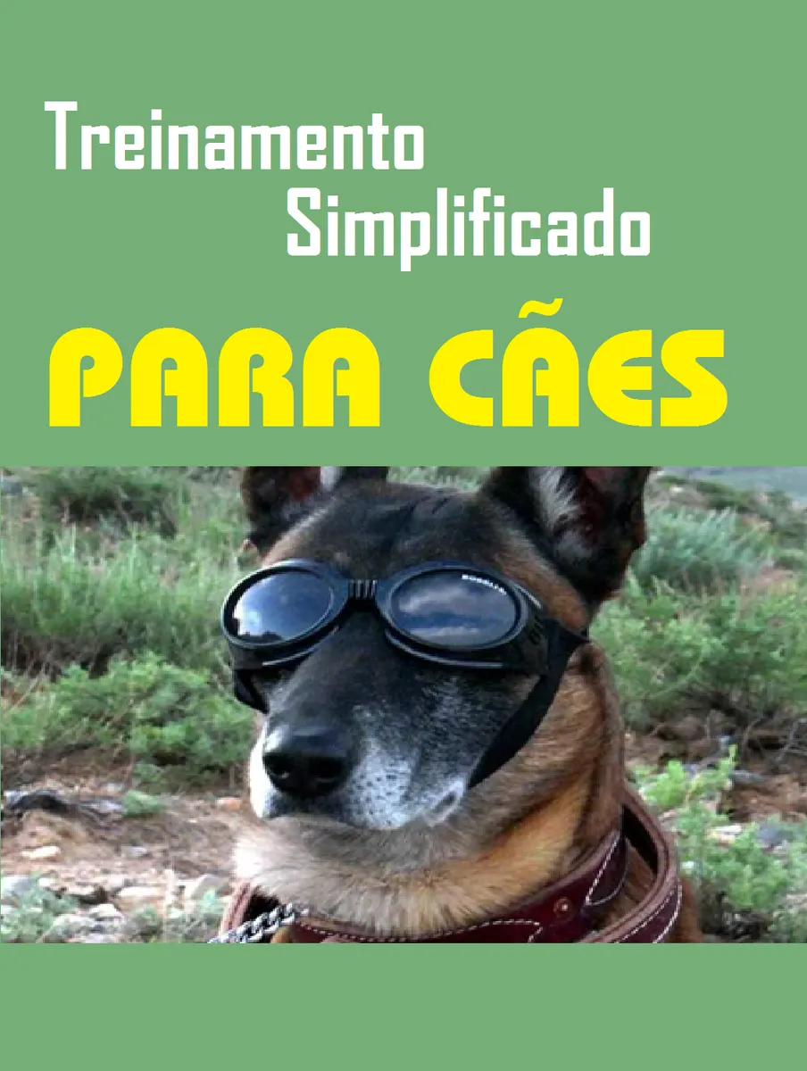 Treinamento Simplificado Para Cães