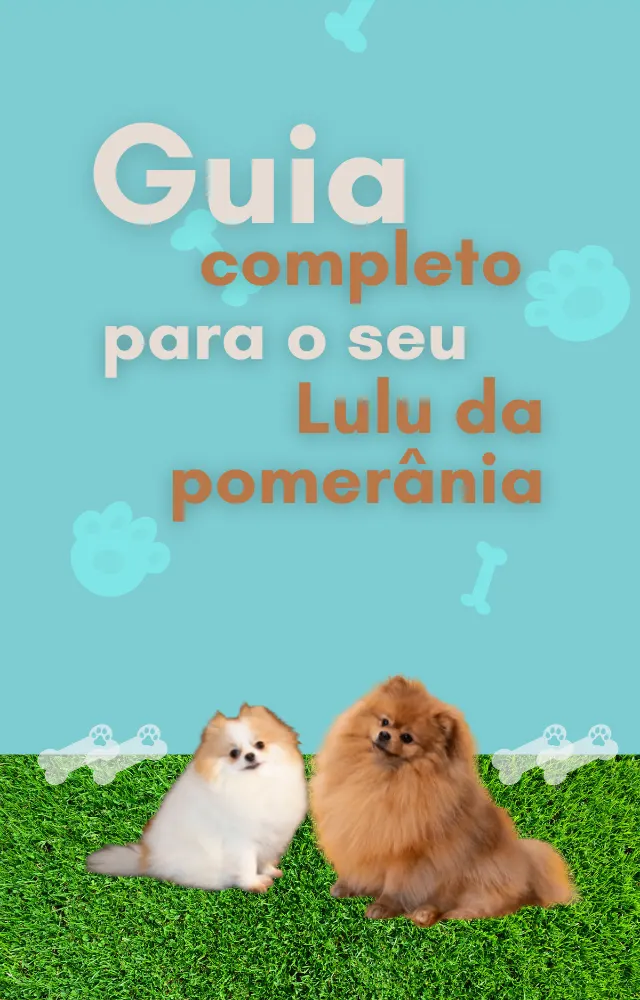 Guia completo para o seu Lulu da Pomerânia