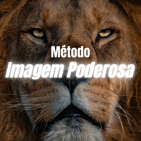 Curso Método Imagem Poderosa