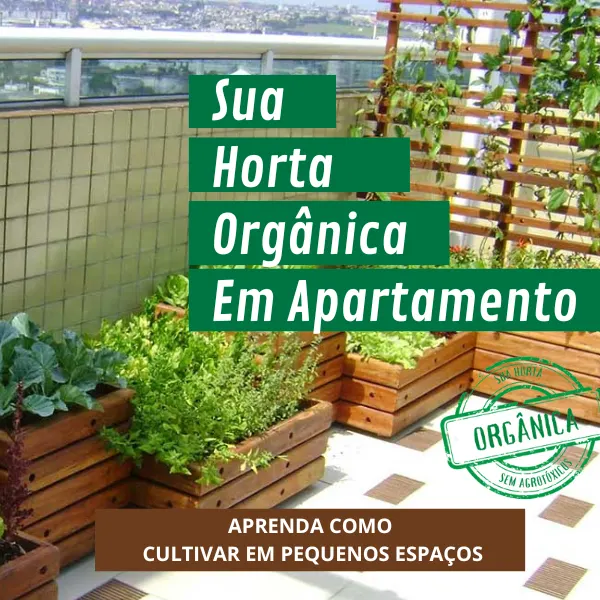 SUA HORTA ORGÂNICA EM APARTAMENTO