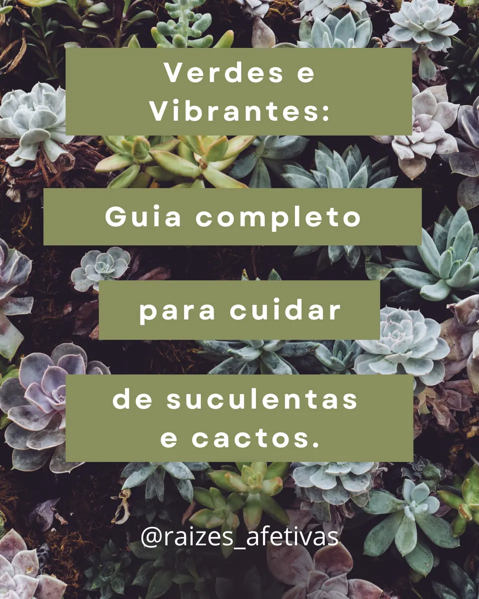 Guia para cultivo suculentas e cactus.