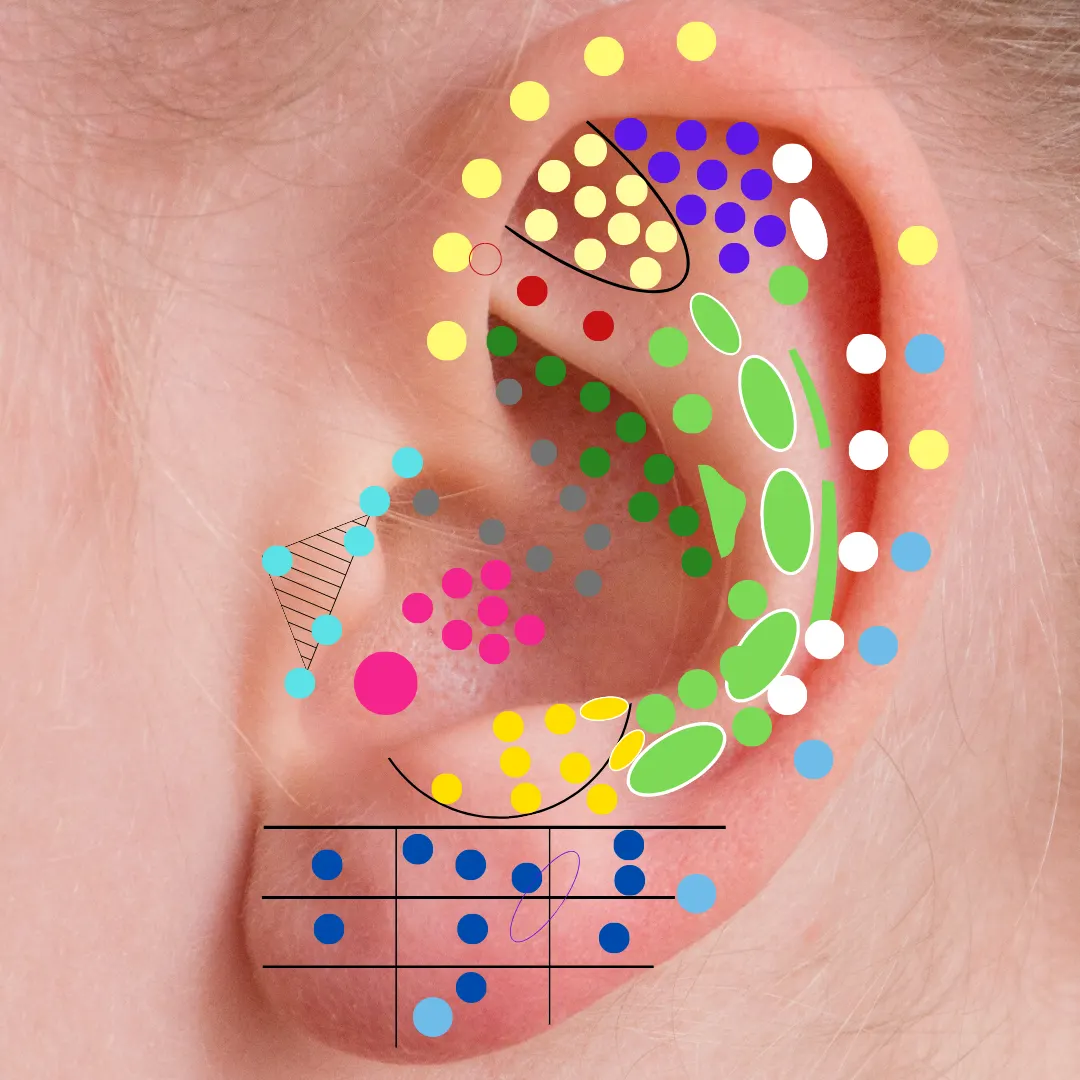Curso de Auriculoterapia Completo
