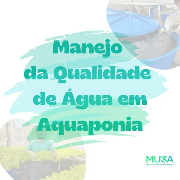 Manejo da Qualidade de Água em Aquaponia