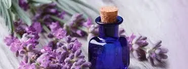 Curso de Florais de Saint Germain