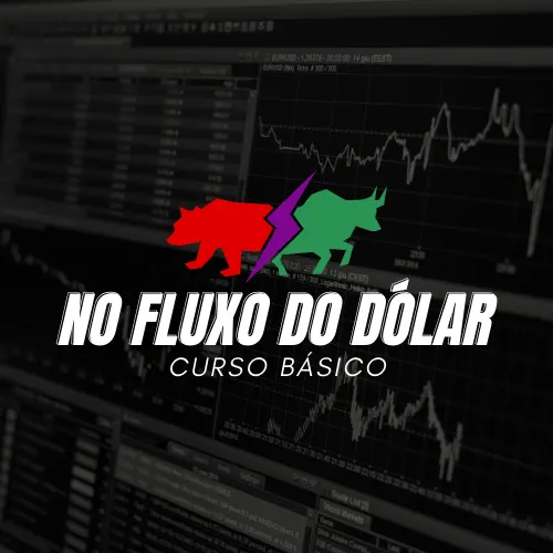 NO FLUXO DO DÓLAR - FORMAÇÃO BÁSICA DAY TRADE