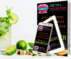 300 receitas para emagrecer LOW CARB