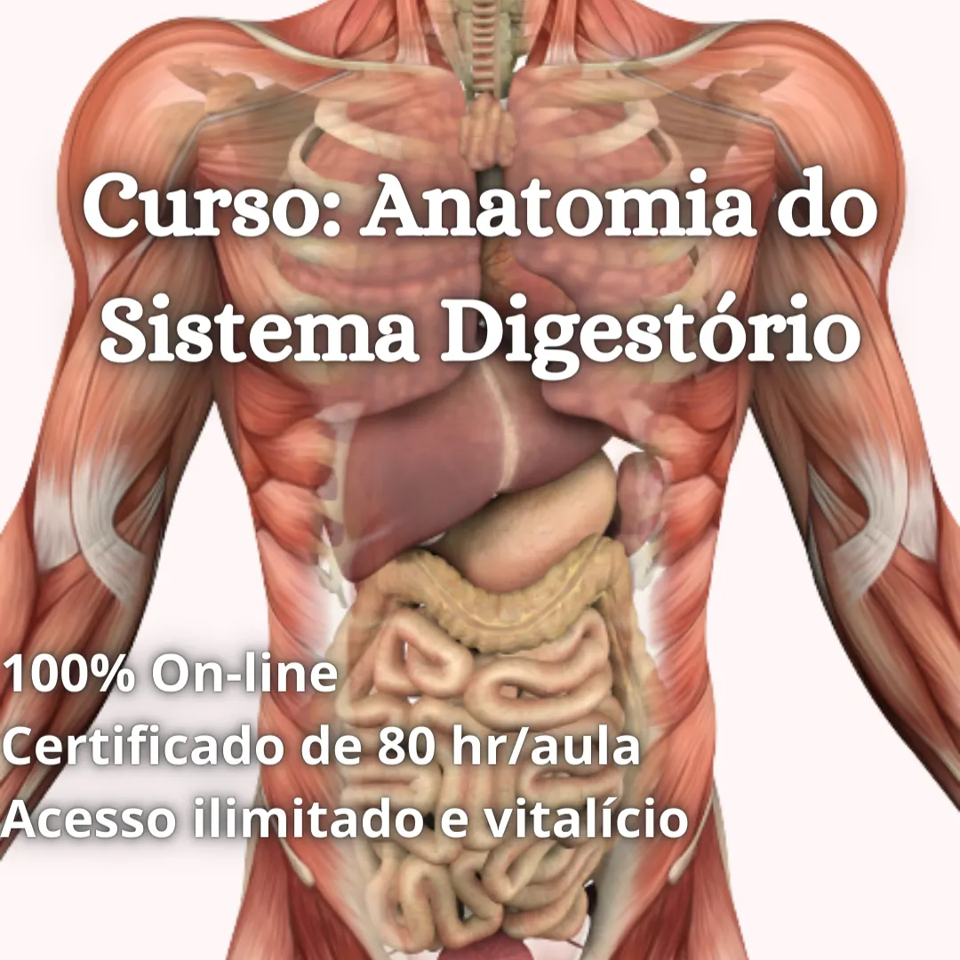 Curso de anatomia e fisiologia do sistema digestório