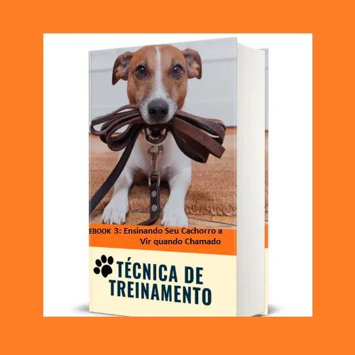 Técnica de Treinamento Canino EBOOK 3 Ensinando Seu Cachorro a Vir quando Chamado