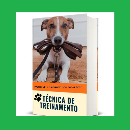 Técnica de Treinamento Canino EBOOK 4 ensinando seu cão a ficar