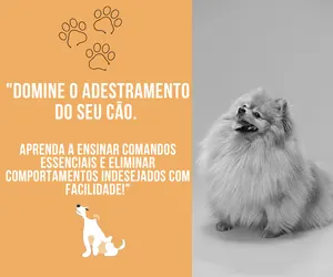 COMO ADESTRAR SEU PET PARA INICIANTES