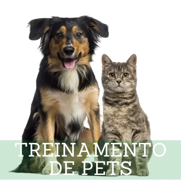 Treinamento de Pets