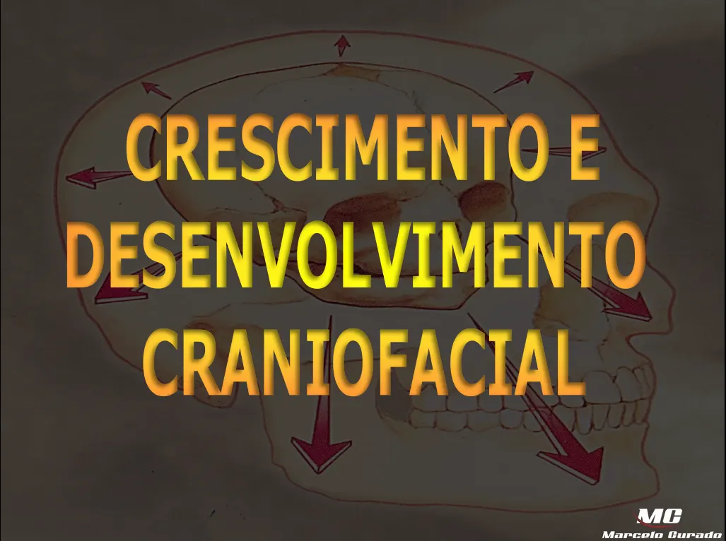 Crescimento e Desenvolvimento Craniofacial - Aula Ortodontia Graduação