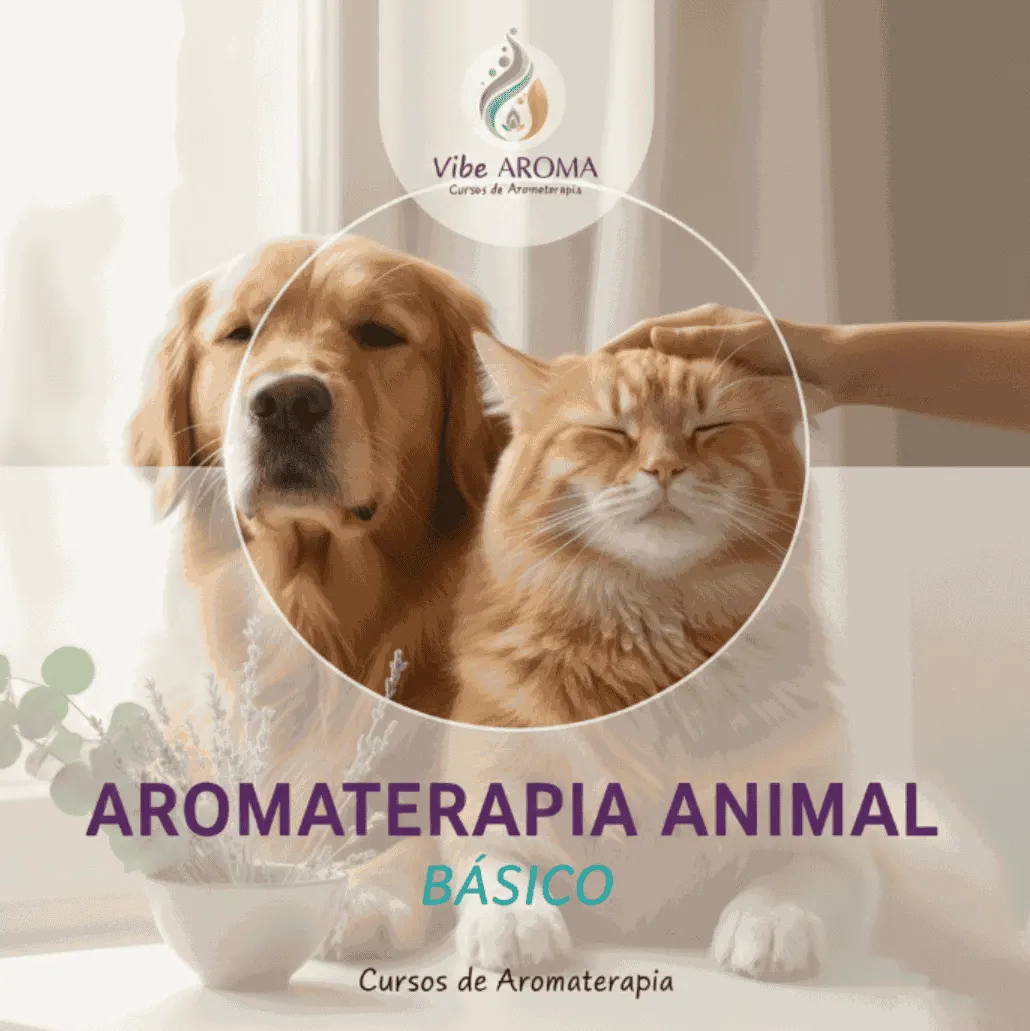 Curso de Aromaterapia Animal: Do Básico à Prática Avançada