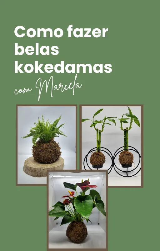 Como fazer as mais belas Kokedamas
