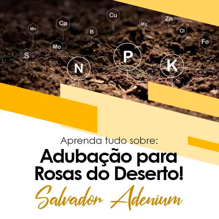 CURSO 4 - ADUBAÇÃO PARA ROSAS DO DESERTO