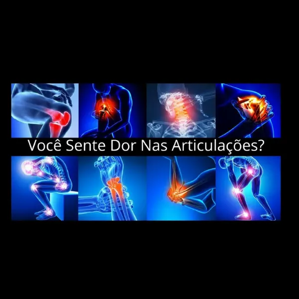 Programa de Treinamento Focado em Mobilidade, Fortalecimento e Alívio de Dores