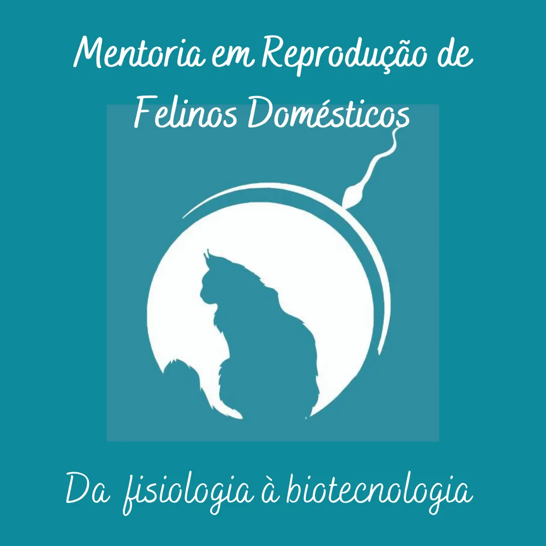 Mentoria em Reprodução de Felinos - da Fisiologia à Biotecnologia