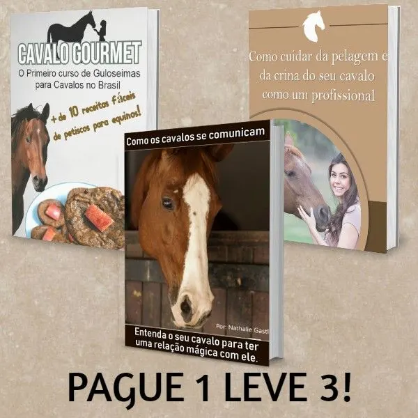 PACOTE ESPECIAL!